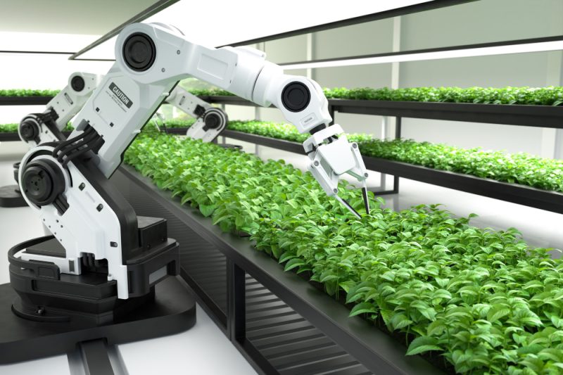 Edge ML pe micro-controlere: Tiny ML în agricultură de precizie