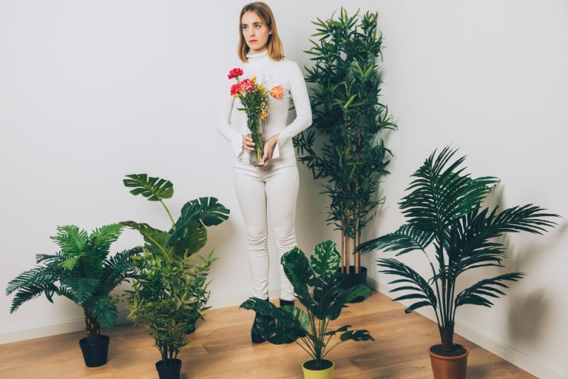 Cum să creezi un perete accent cu plante verzi